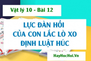 Cách tính Lực đàn hồi của Con lắc Lò xo, Công thức Định luật Húc (Hooke) và bài tập - Vật lý 10 bài 12